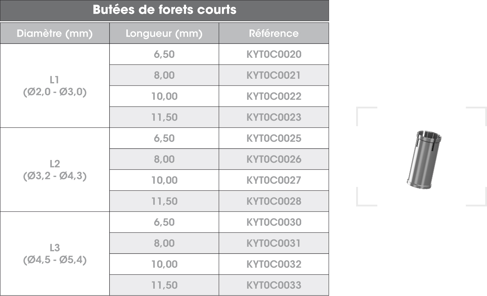 Butees-forets-courts